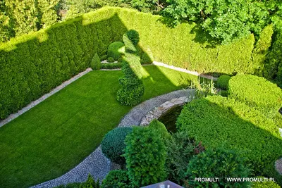 Promulti Ogrody - Projektowanie ogrodów i zakładanie ogrodów